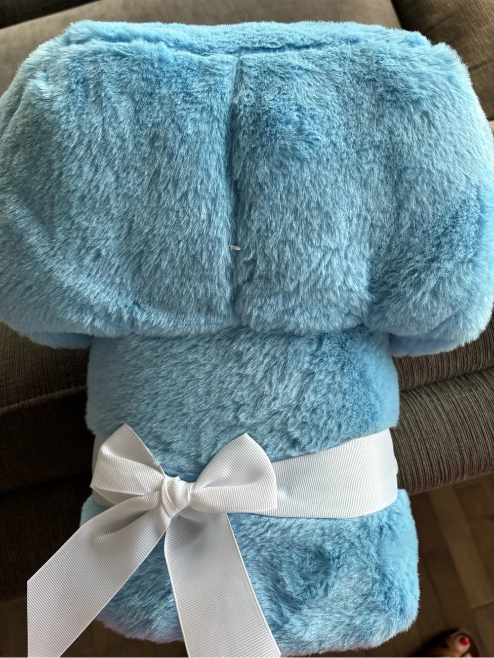 Brand NEW Bluey Hooded Blanket Kids 30x50